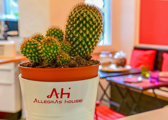 Allegra\'S House Caracciolo